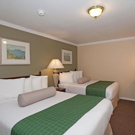 Traveler'S Inn Williams, Ca Modern Renovated Hotel Δωμάτιο φωτογραφία